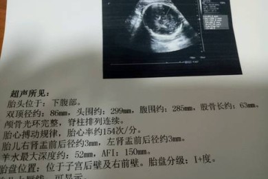 1.5l等于多少斤，1.5LB是多少斤